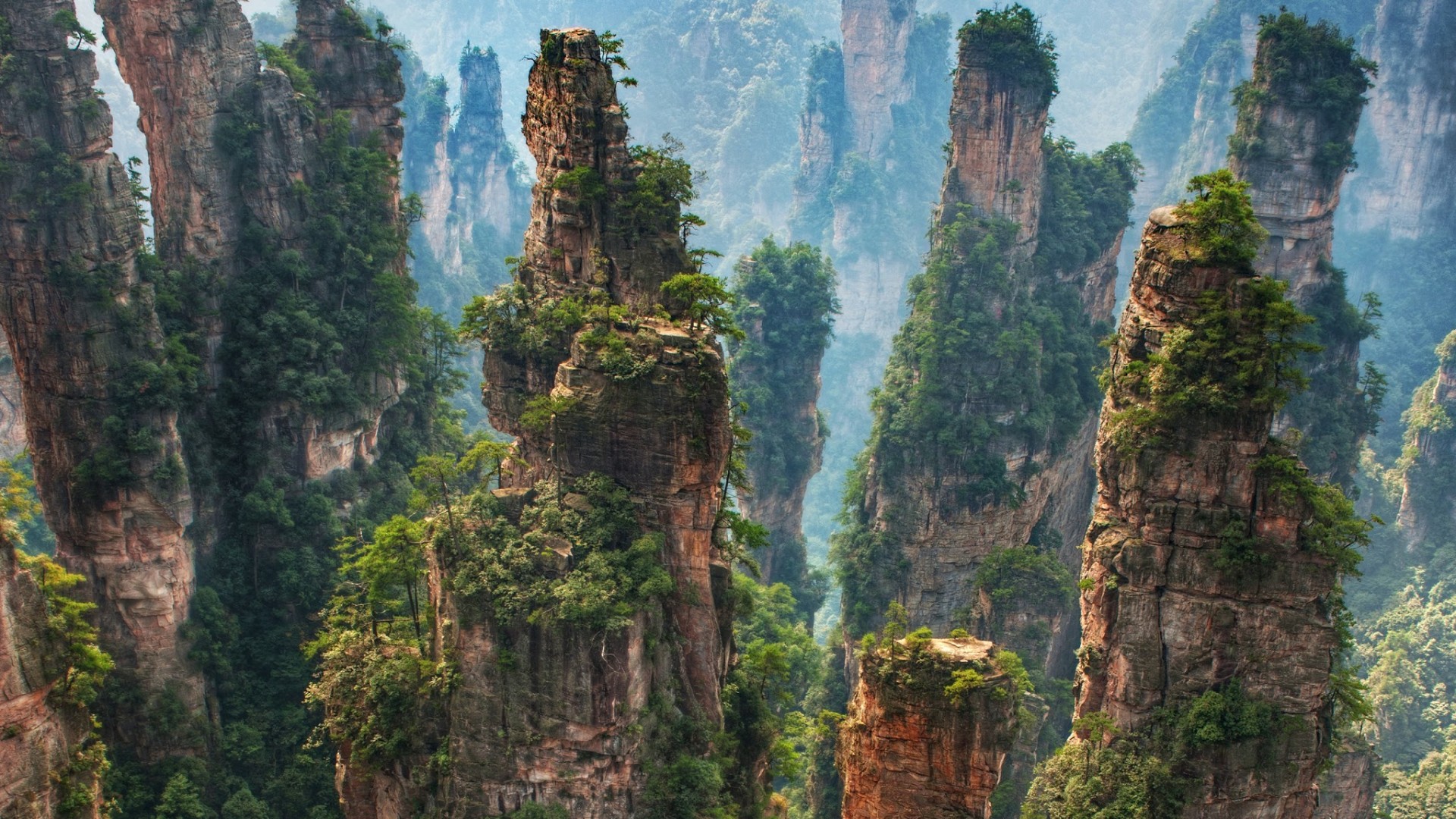 ZhangJiaJie