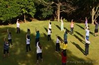 Qi Gong / Tai Chi Chuan