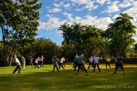 Qi Gong / Tai Chi Chuan